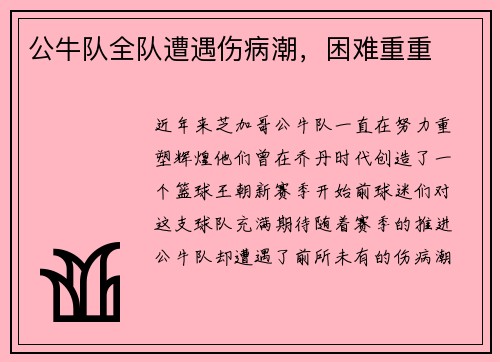 公牛队全队遭遇伤病潮，困难重重