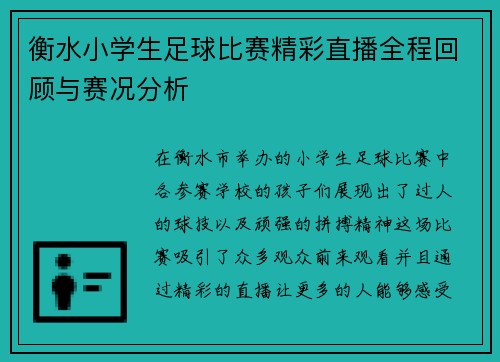 衡水小学生足球比赛精彩直播全程回顾与赛况分析